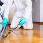 شركة مكافحة حشرات برجال المع